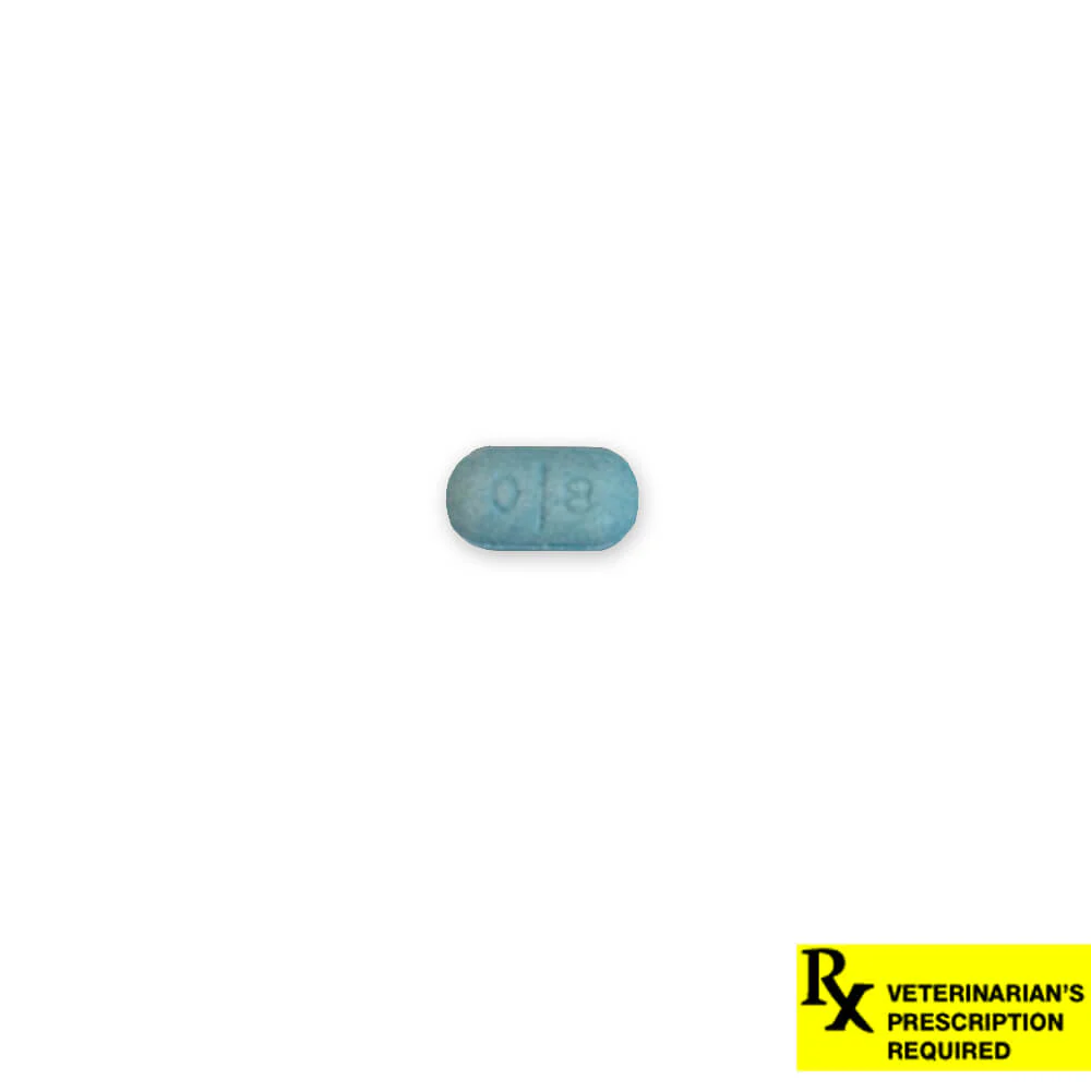 Rx Thyro-Tabs (levothyroxine sodium tablets) Tablets for Dogs - Pet's Shop