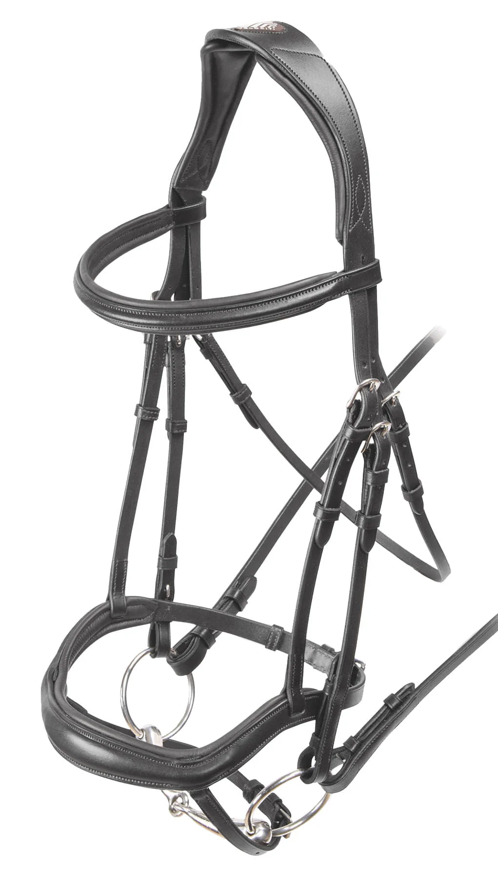 Velociti Ergonomic Flash Bridle - Pet's Shop