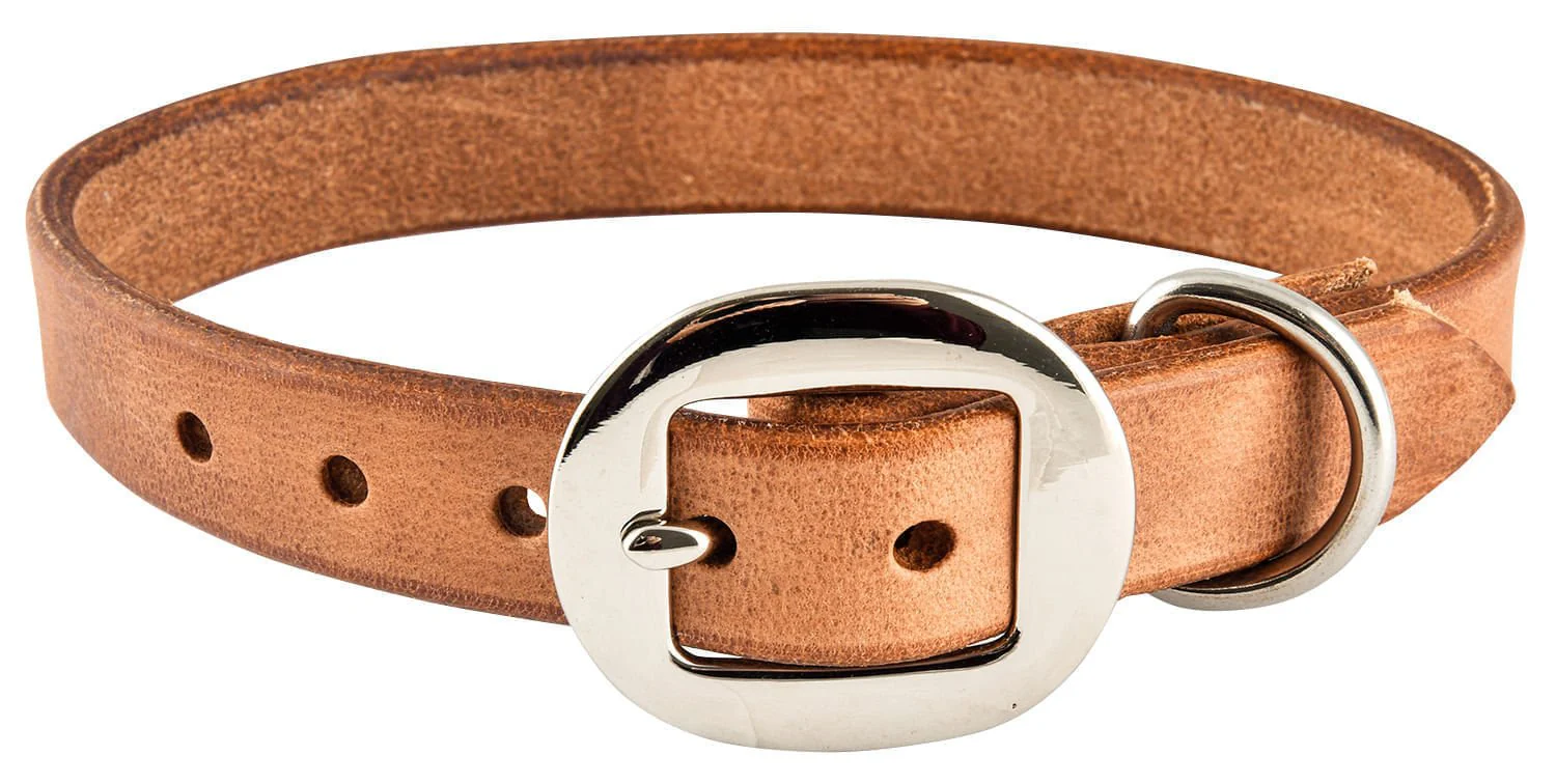 San Saba Dog Collar - Pet's Shop
