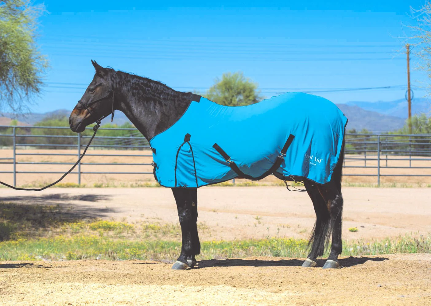 Coolcore Equine Cooling Blanket - Pet's Shop