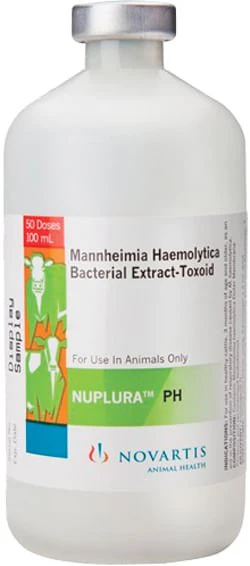 NUPLURA PH - Pet's Shop