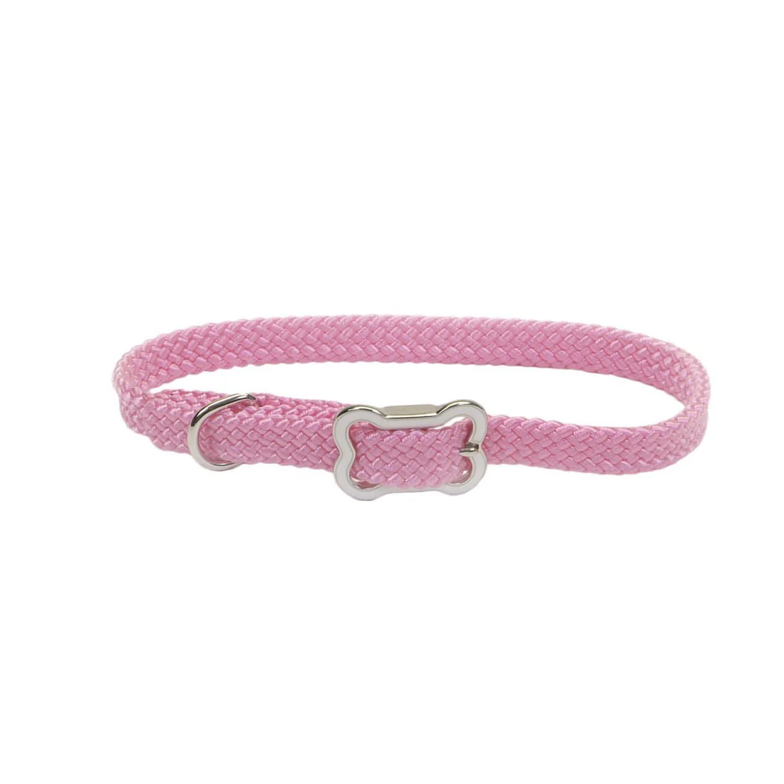 Sunburst Dog Collar with Bone Buckle - Pet's Shop