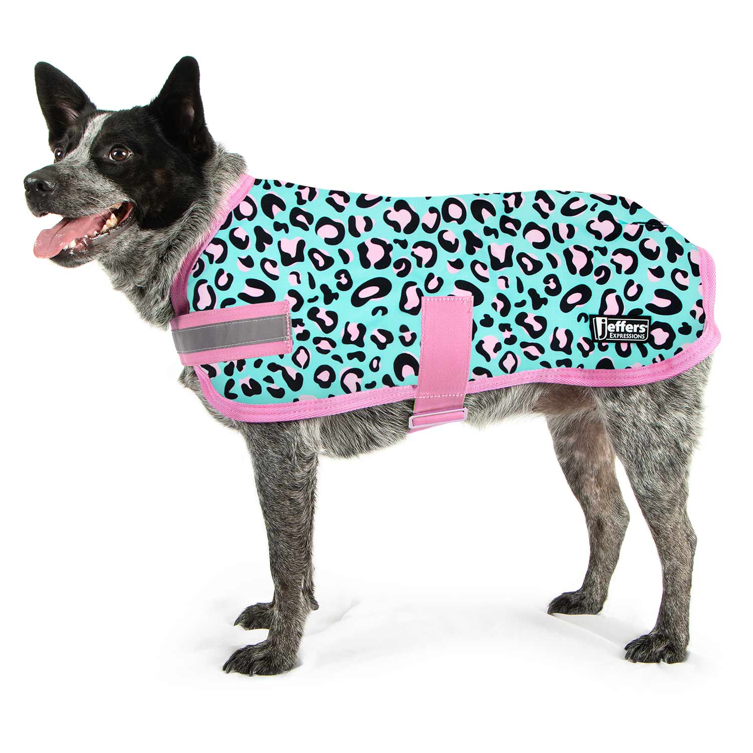 Expression Waterproof Ripstop Dog Coat, Party Cheetah - Pet's Shop