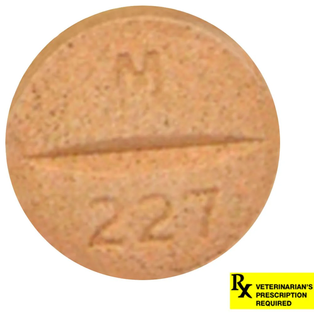 Rx Previcox (firocoxib) Chew Tabs for Dogs - Pet's Shop