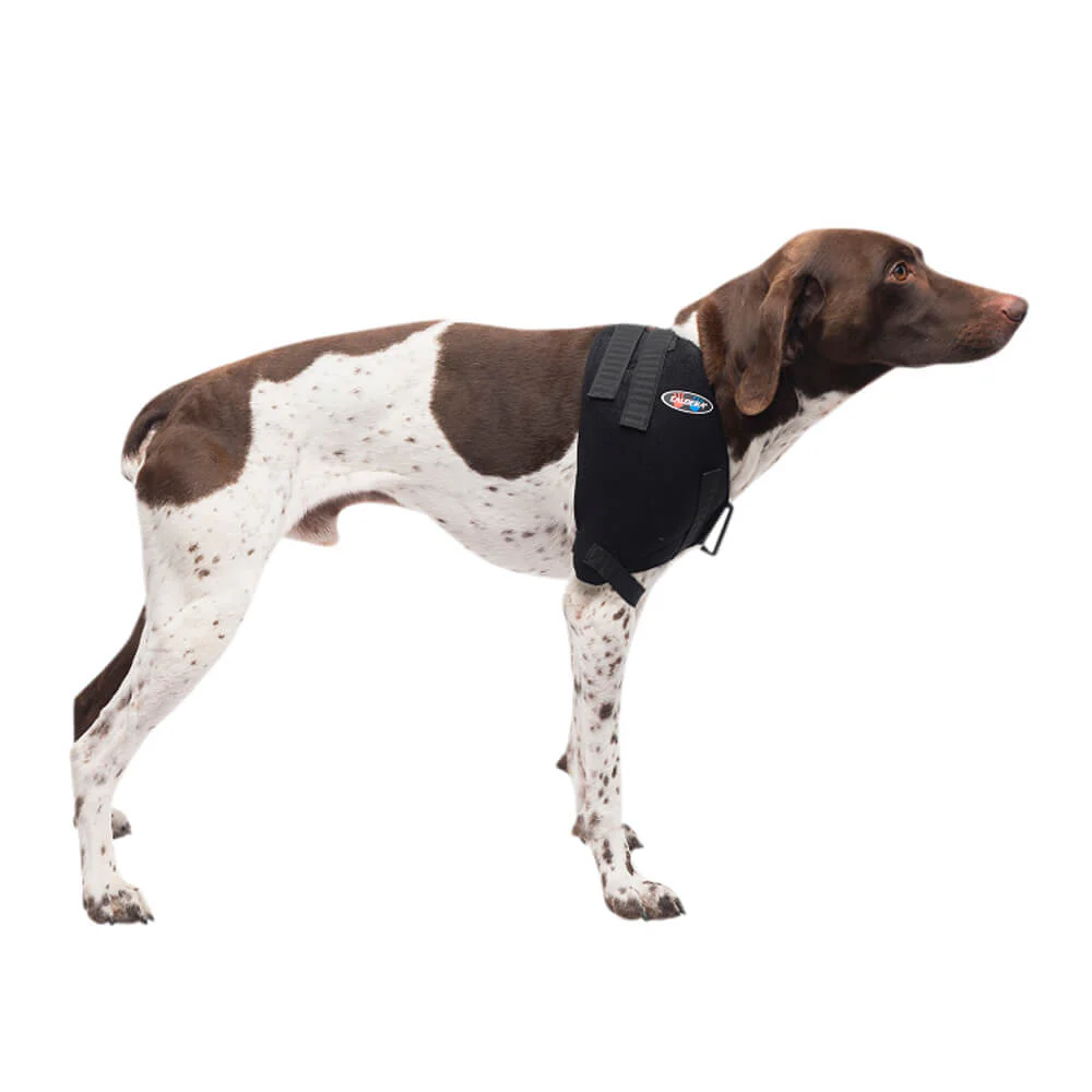 Caldera Pet Therapy Shoulder Wrap with Therapy Gel - Pet's Shop