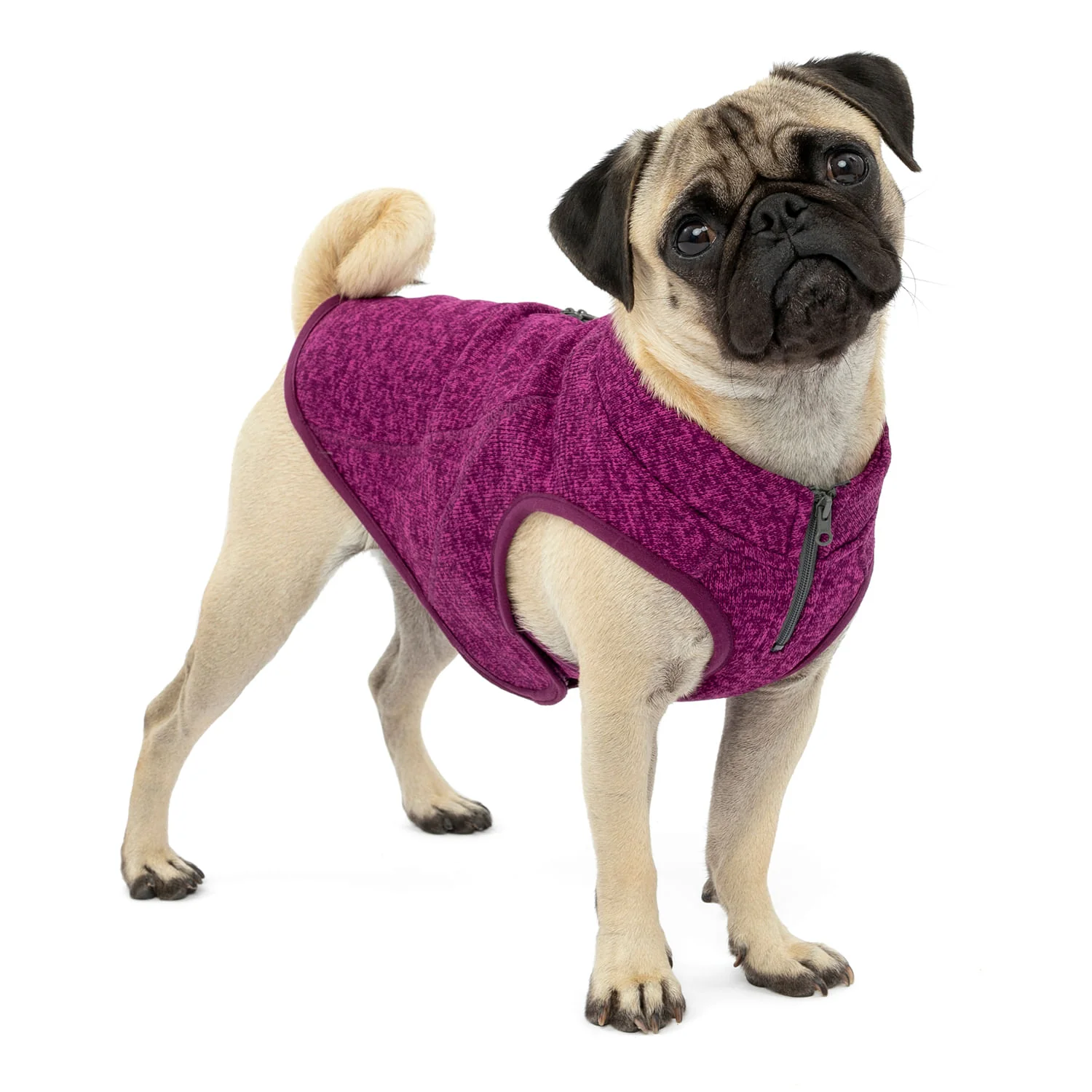 Kurgo K9 Core Sweater - Pet's Shop
