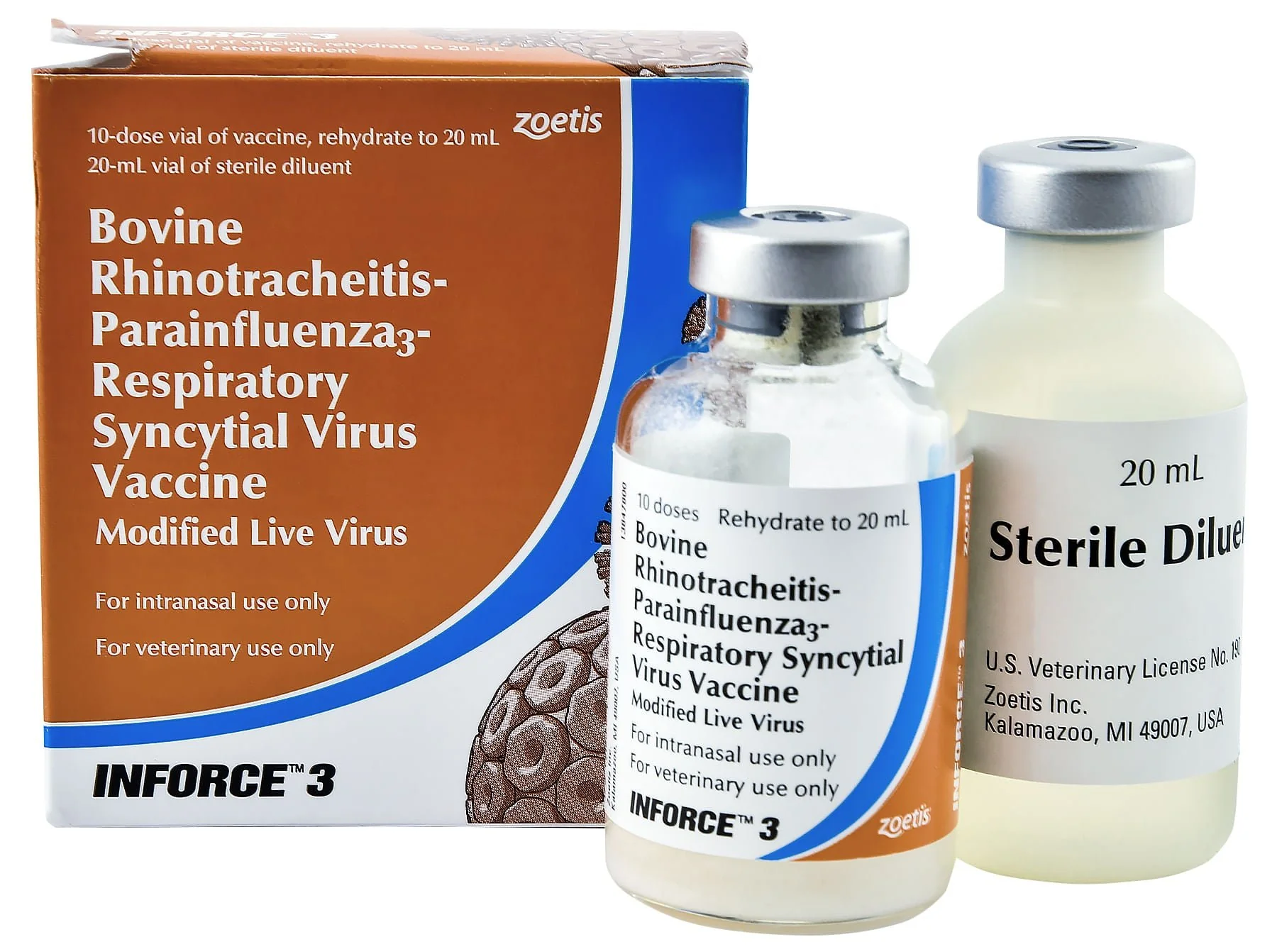 INFORCE 3 - Pet's Shop