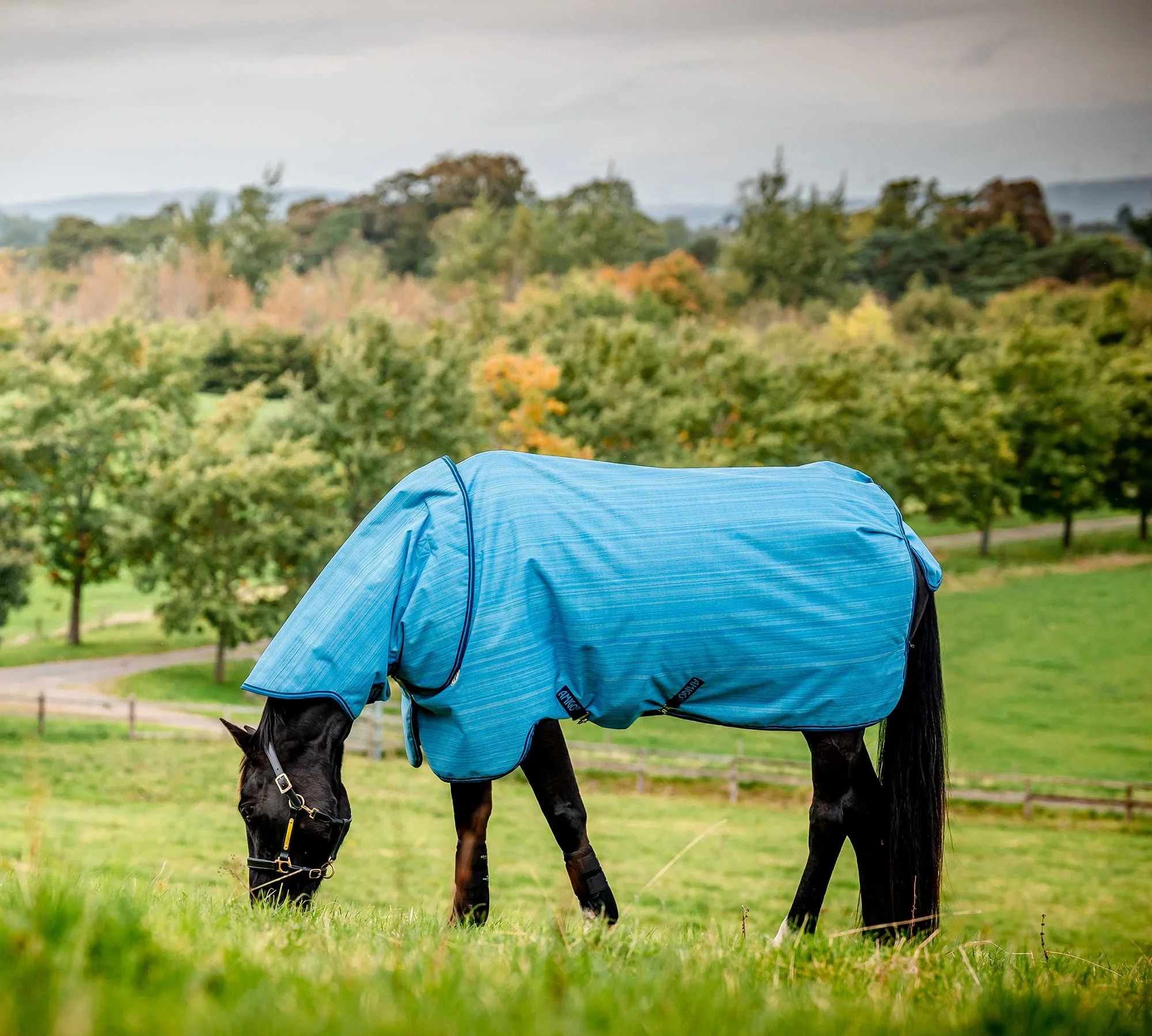 Amigo Hero 900 Revive Plus Medium Weight Horse Turnout Blanket - Pet's Shop