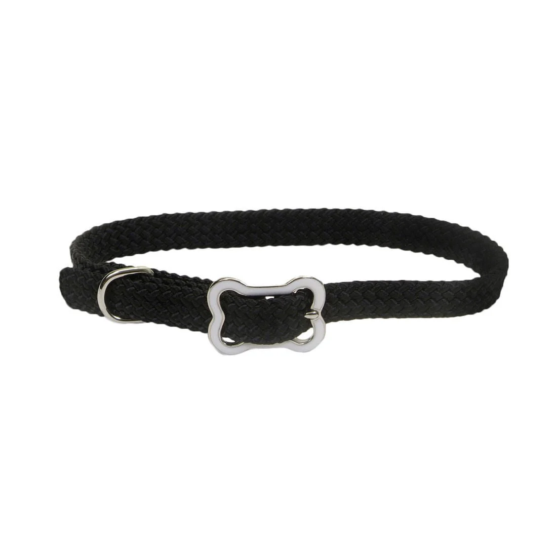 Sunburst Dog Collar with Bone Buckle - Pet's Shop
