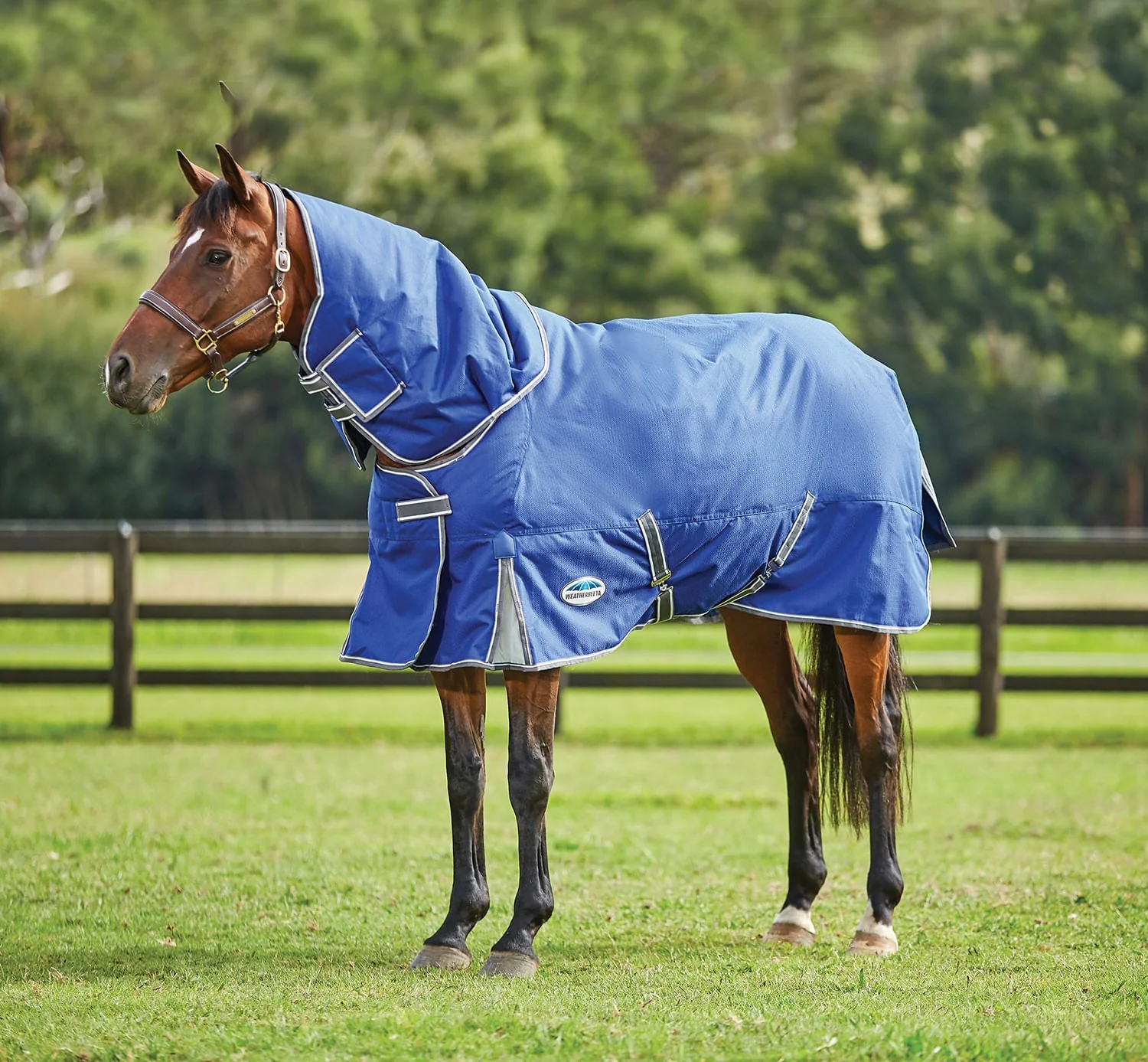 WeatherBeeta ComFITec Premier Free II Detach-a-Neck Medium Horse Blanket - Pet's Shop