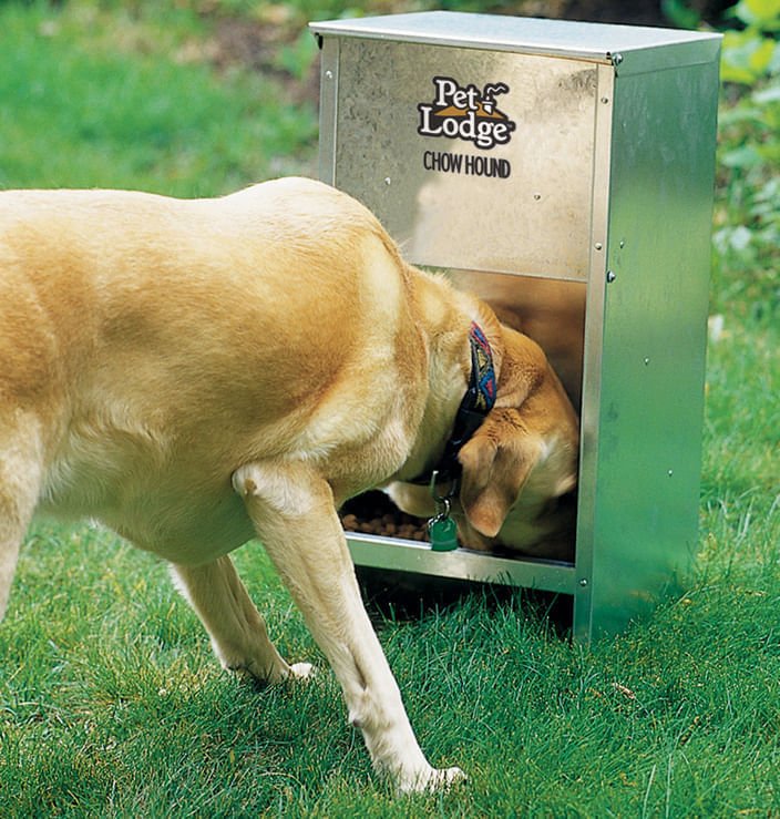 Chow Hound Pet Feeder - Pet's Shop