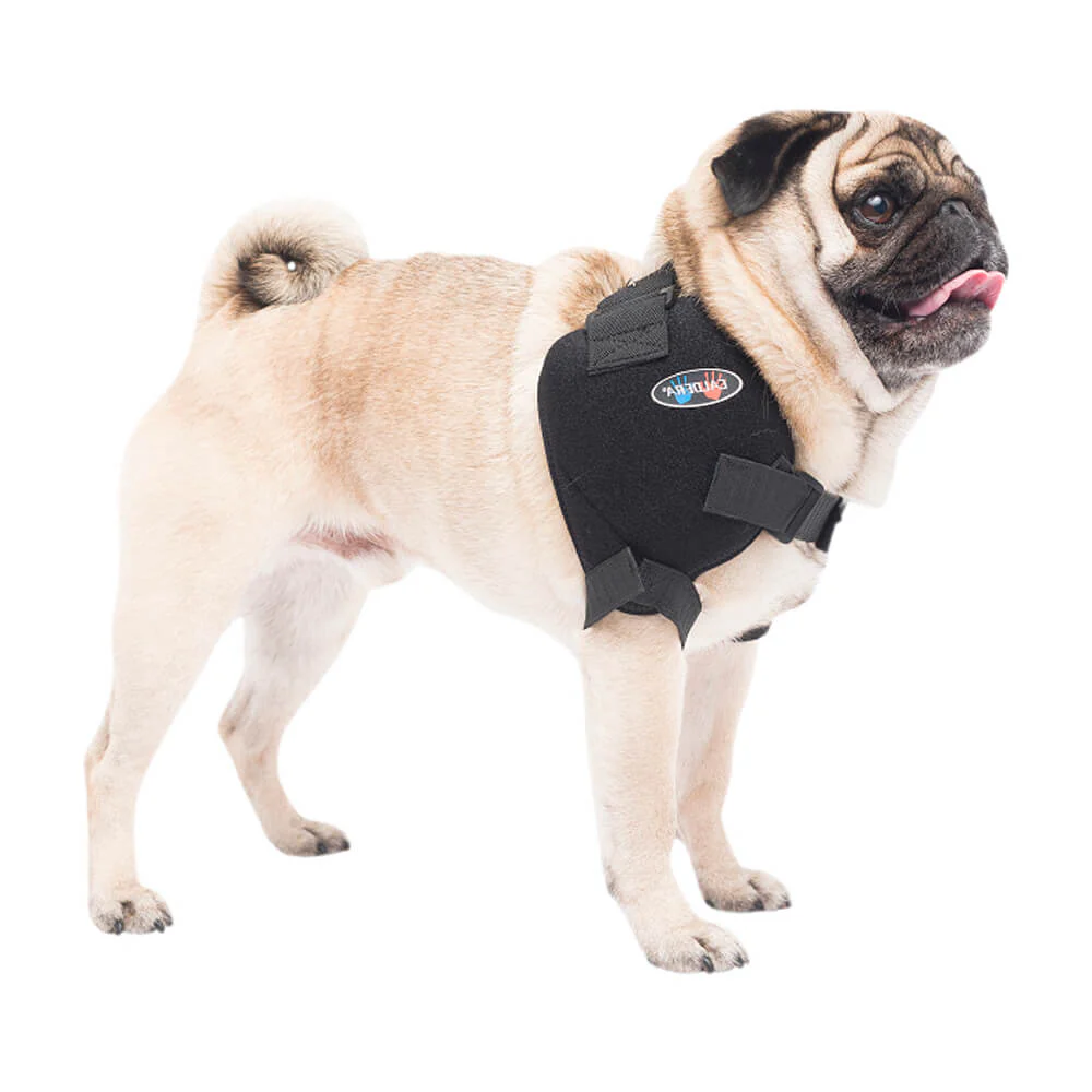 Caldera Pet Therapy Shoulder Wrap with Therapy Gel - Pet's Shop