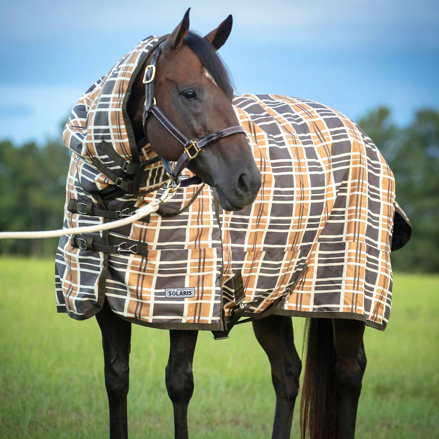 Solaris Horse Turnout Blanket with Neck Rug, 1200D, Medium Weight 240g Fill, Brown & Cream Plaid - Pet's Shop