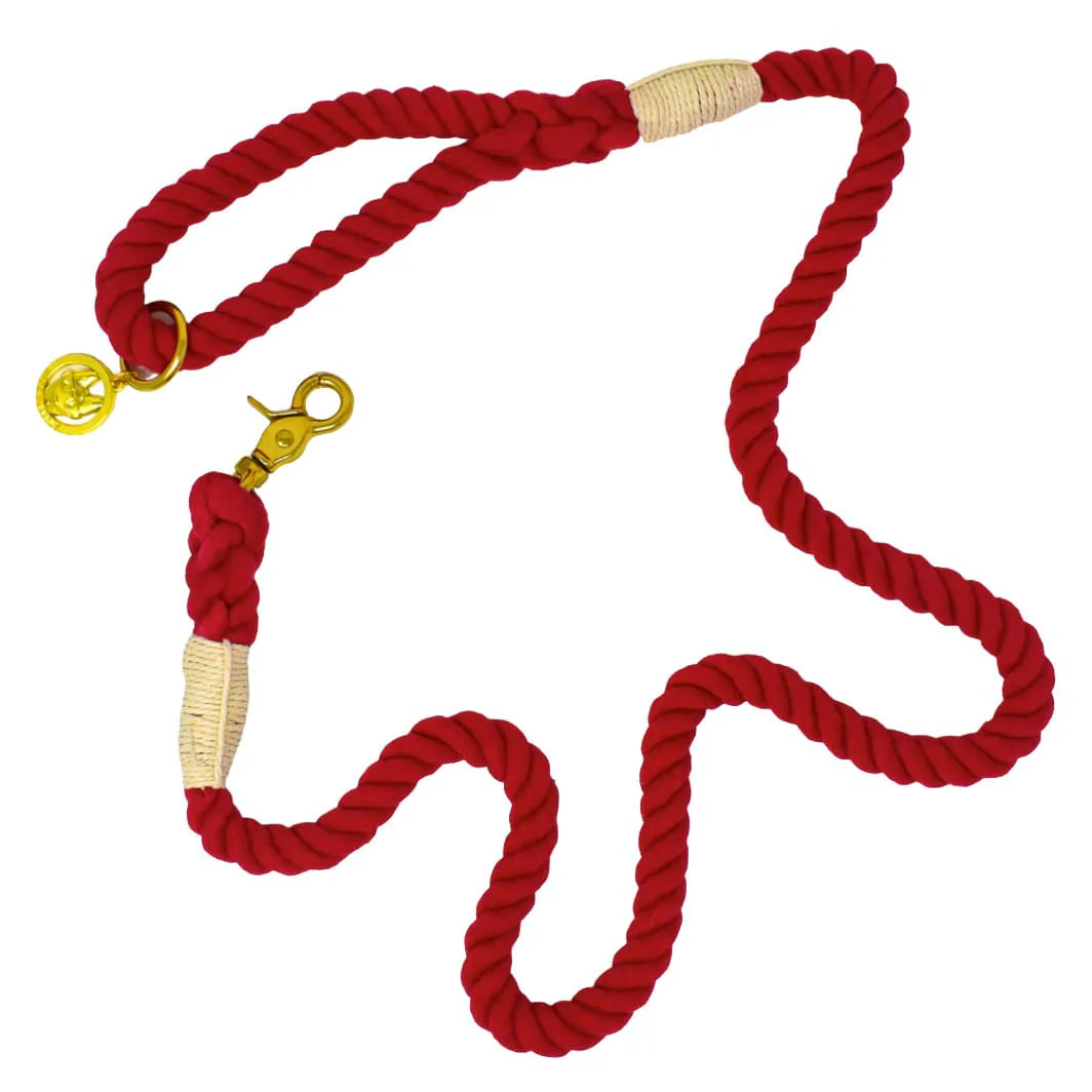 Pink Papyrus Rope Leash, 6ft - Pet's Shop