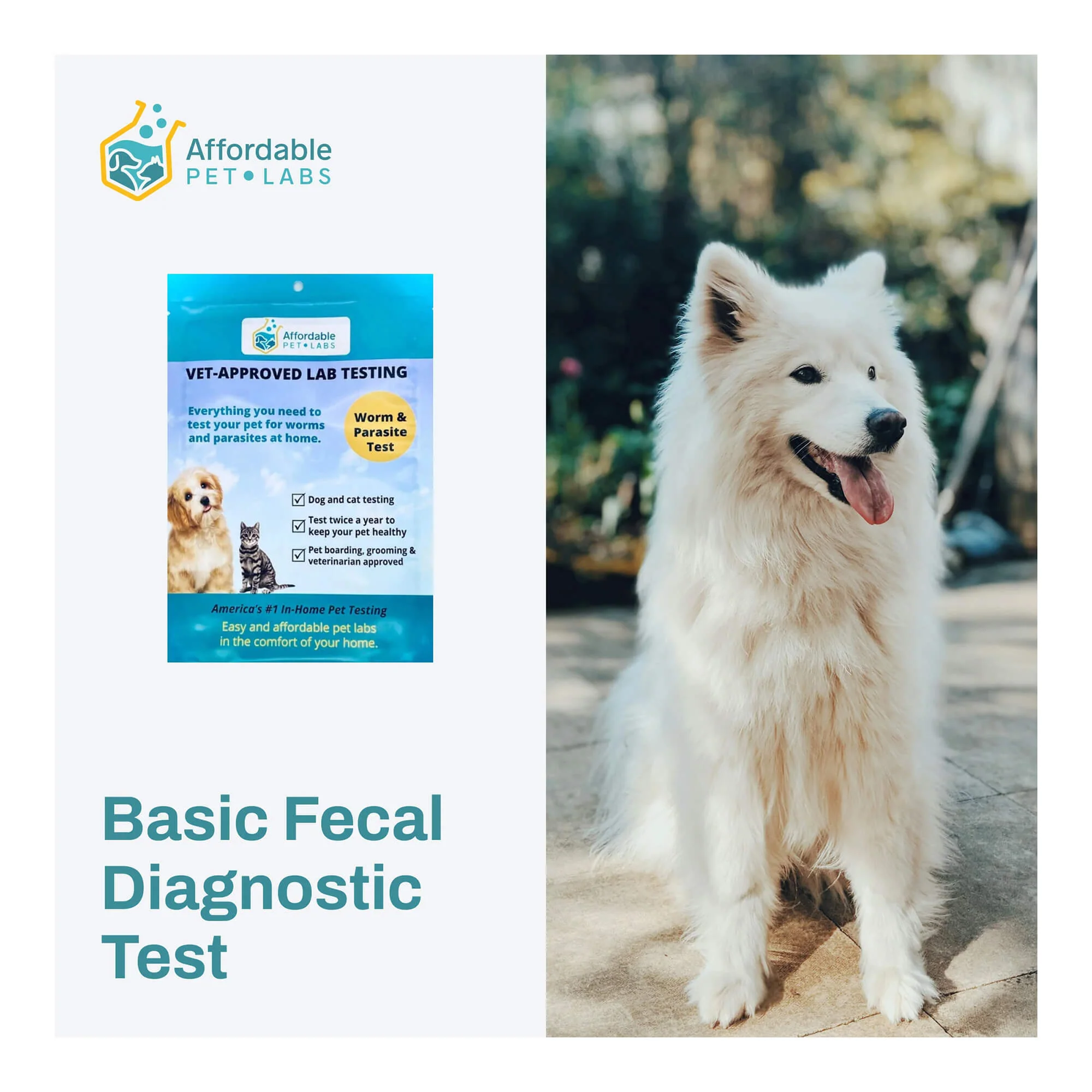 Affordable Pet Labs - Basic Fecal Diagnostic Test For Dogs & Cats, Easy Home Kit - Pet's Shop