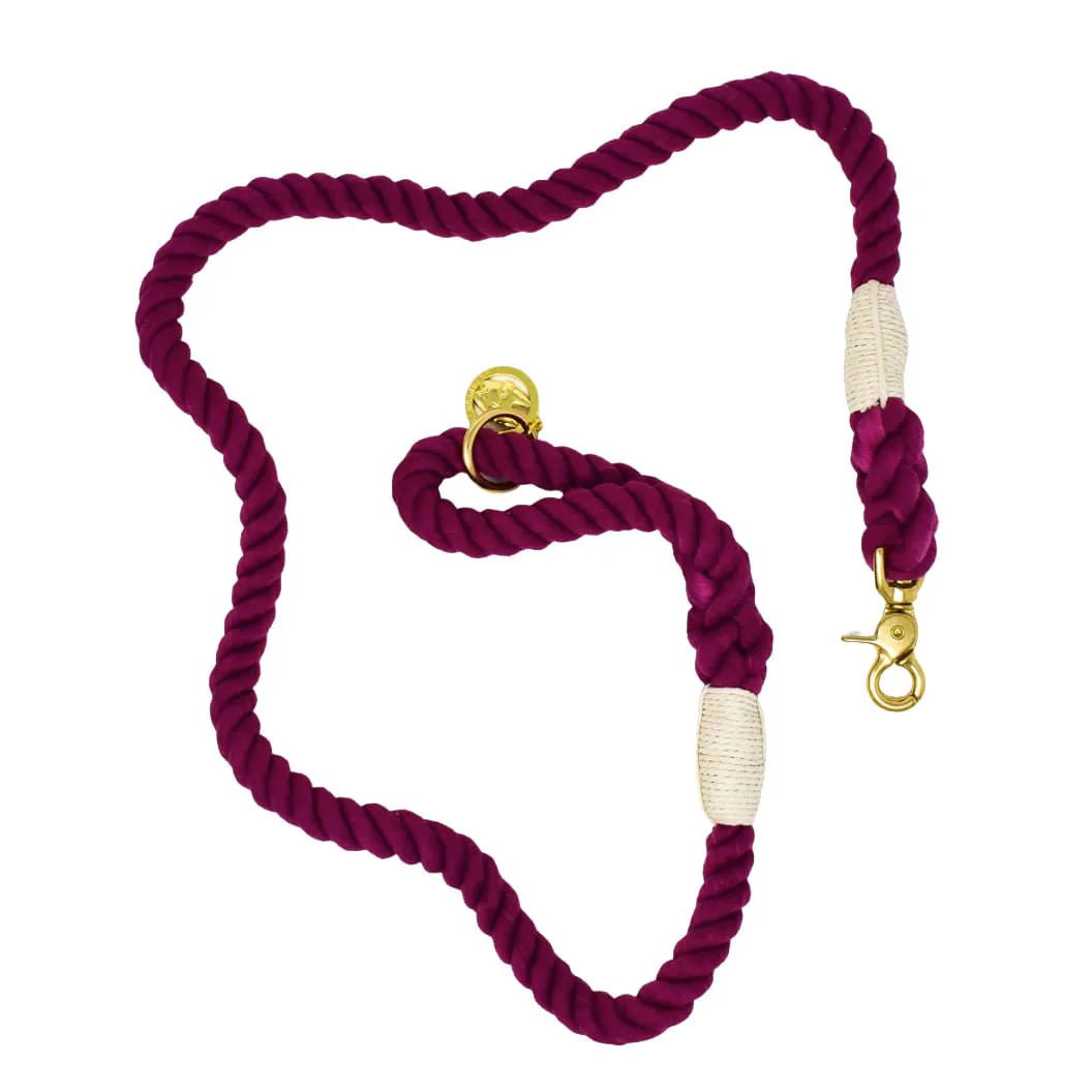 Pink Papyrus Rope Leash, 6ft - Pet's Shop