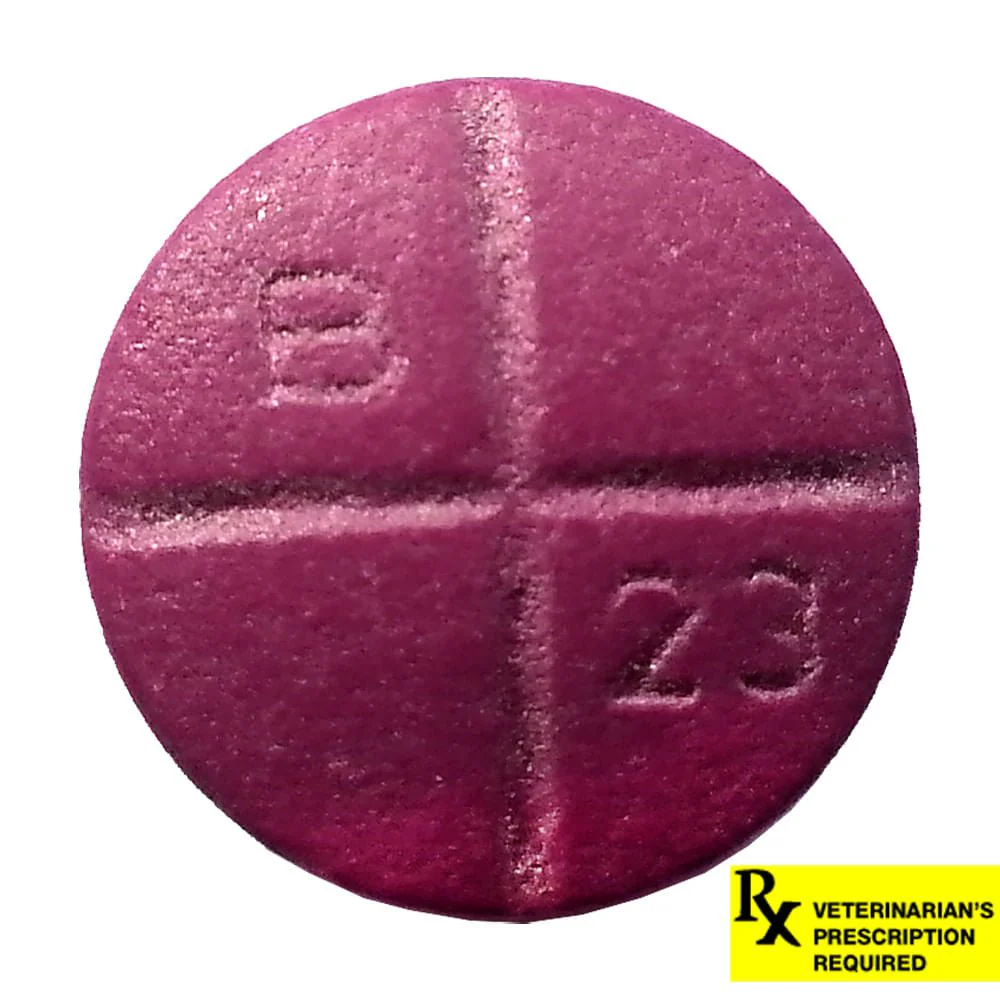 Rx Baytril (enrofloxacin) Coated Tablets for Cats & Dogs - Pet's Shop