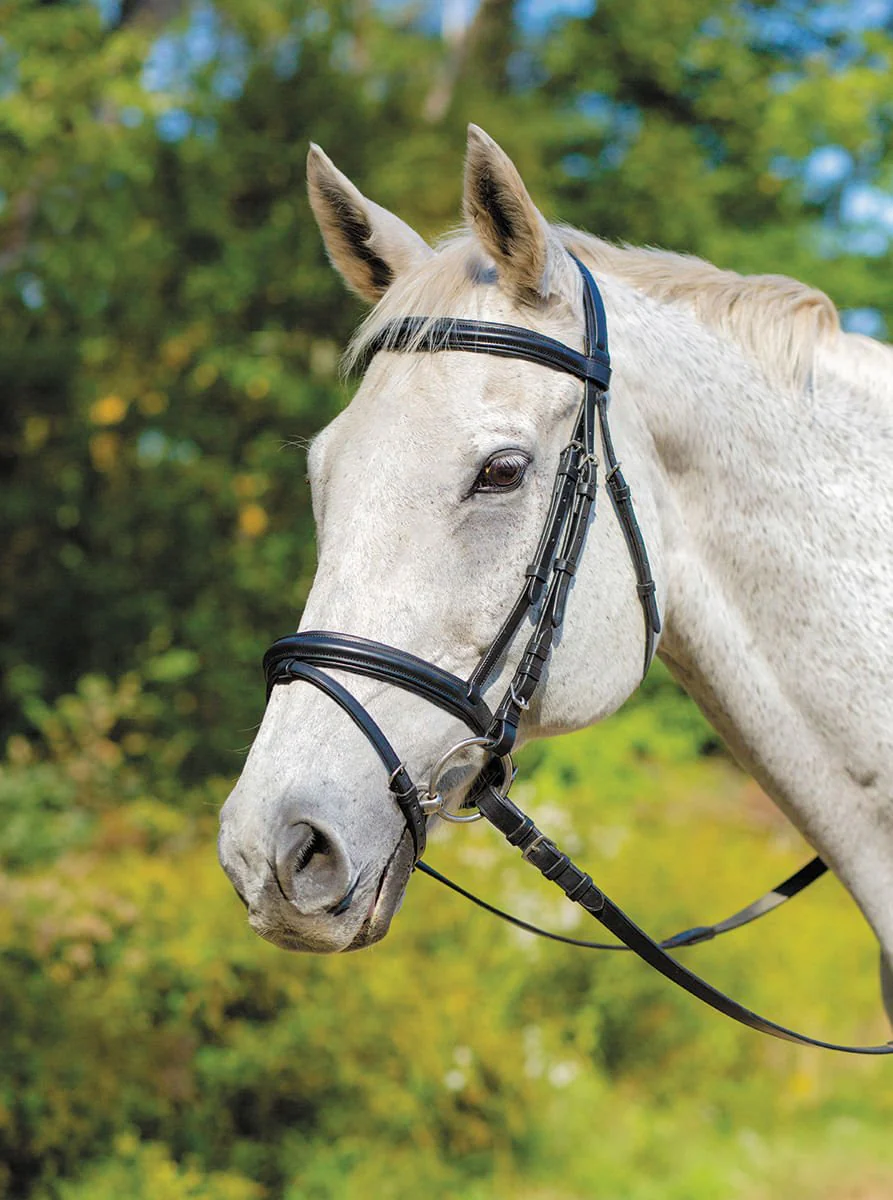 Shires Avignon Louisville Bridle - Pet's Shop