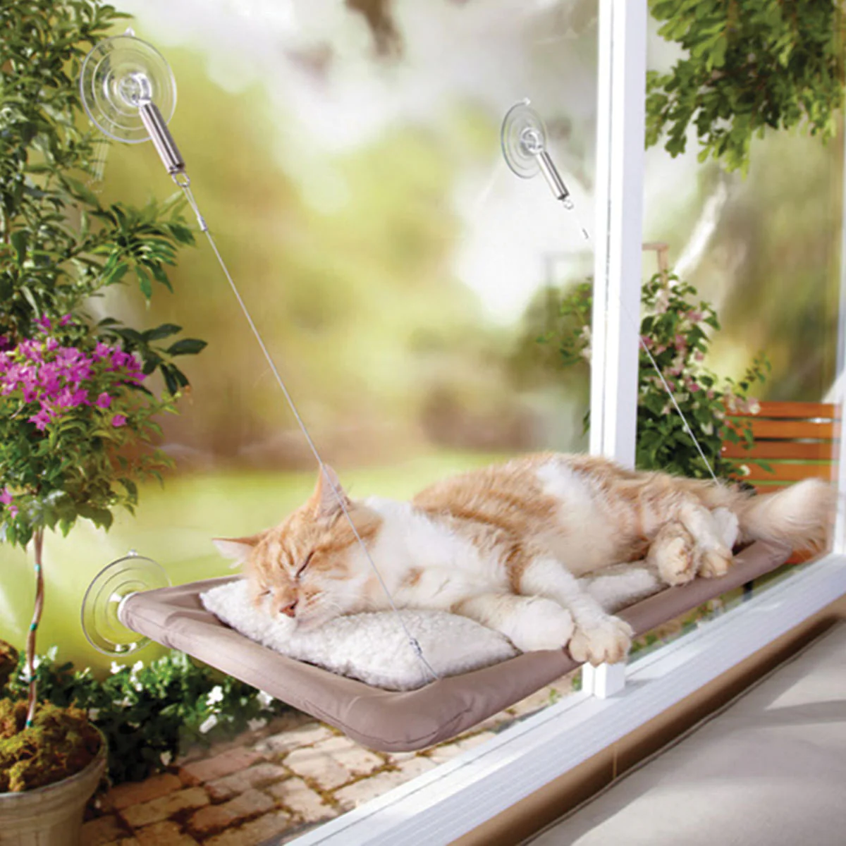 Sunny Seat Window Perch - Pet's Shop