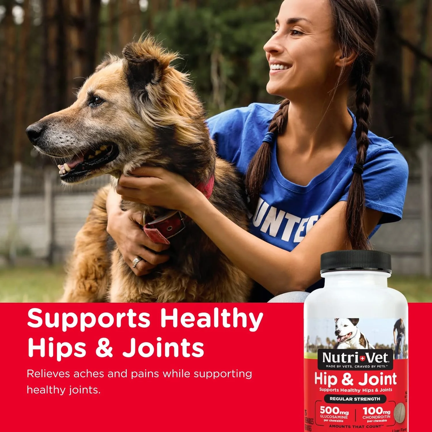 Nutri-Vet Hip & Joint Regular Strength Chewables for Dogs - Pet's Shop
