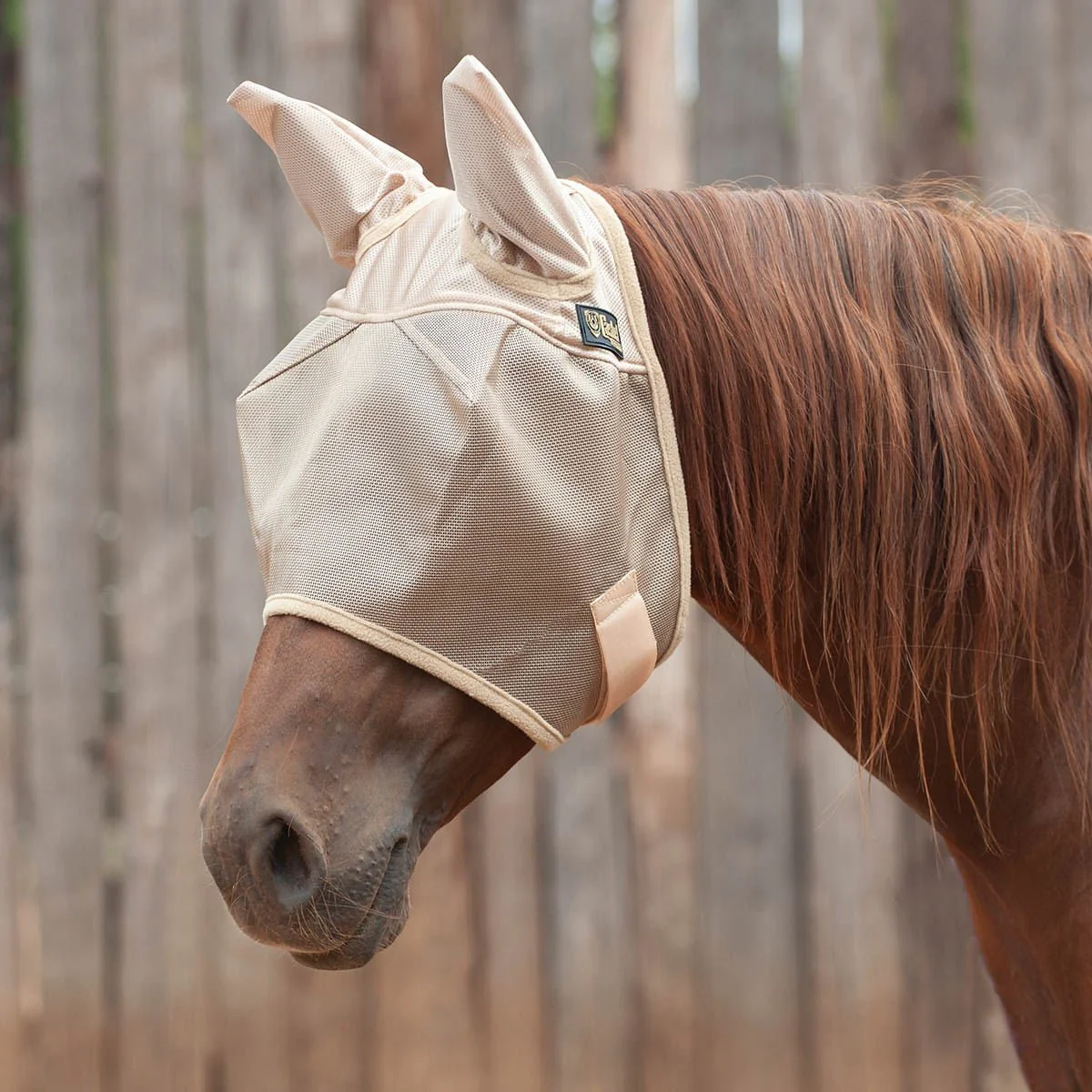 Cashel Economy Fly Mask with Ears, Gold - Pet's Shop
