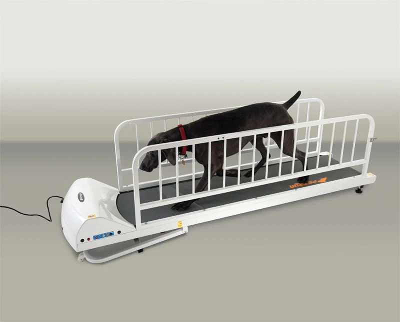 PetRun Large Breed Treadmill (PR725) - Pet's Shop