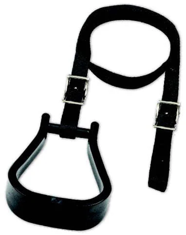 Mustang's Mounting Stirrup - Pet's Shop