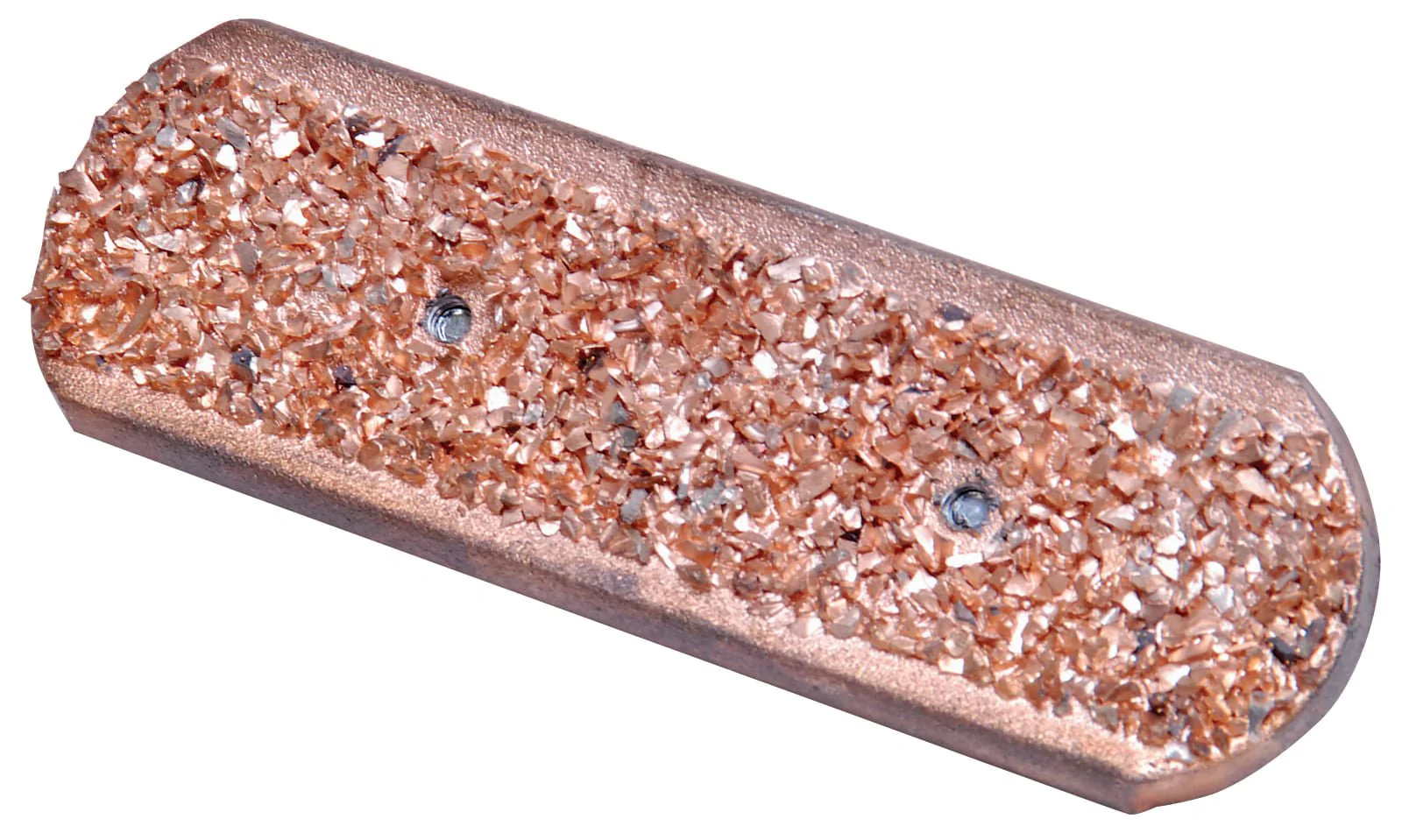 Horse Dental Float (& Replacement Blades) - Pet's Shop