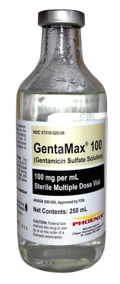 Rx GentaMax (gentamicin sulfate solution) 100 mg/mL Injection for Horses - Pet's Shop