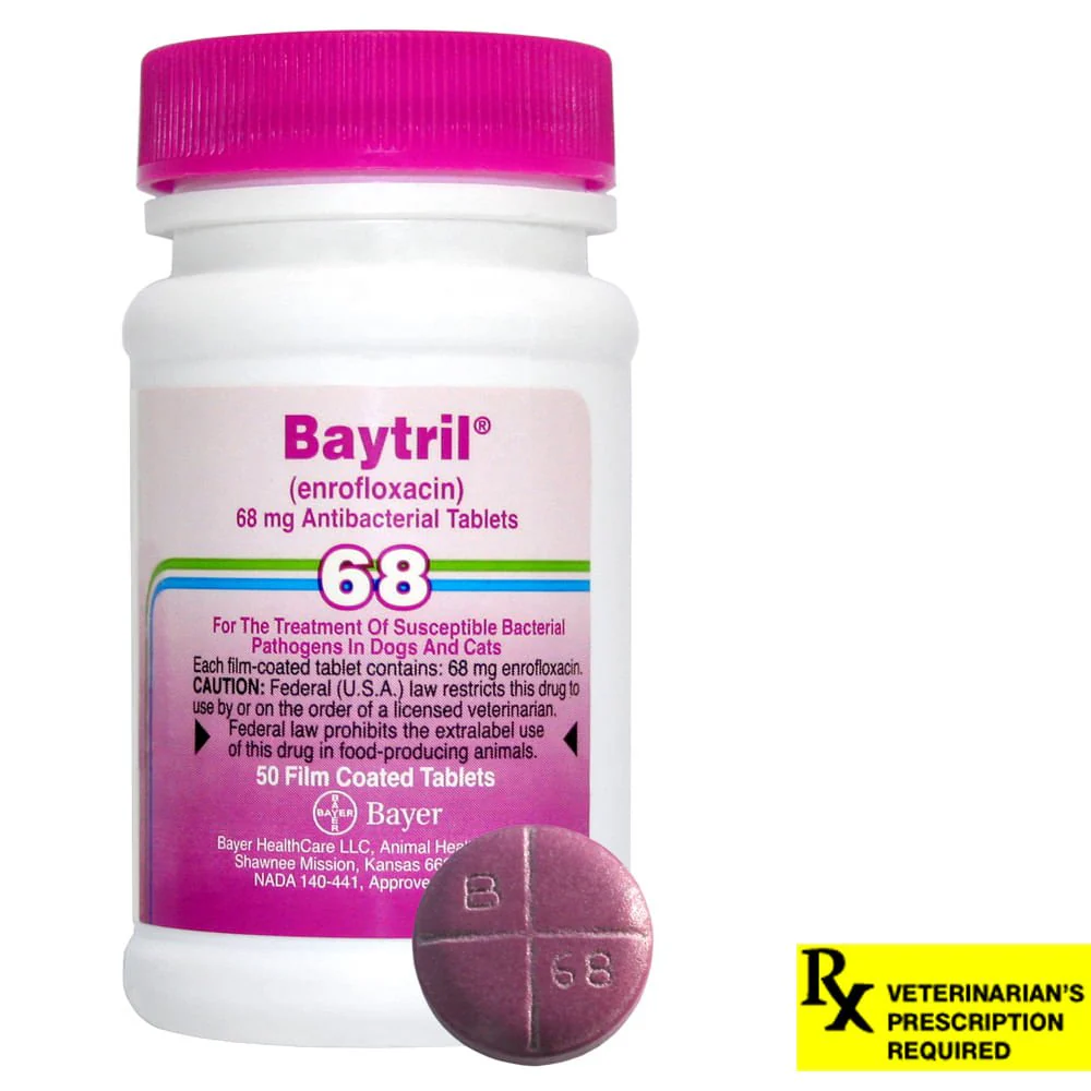 Rx Baytril (enrofloxacin) Coated Tablets for Cats & Dogs - Pet's Shop