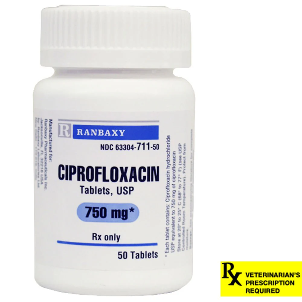 Rx Ciprofloxacin HCl (Generic) Tablets for Dogs & Cats - Pet's Shop