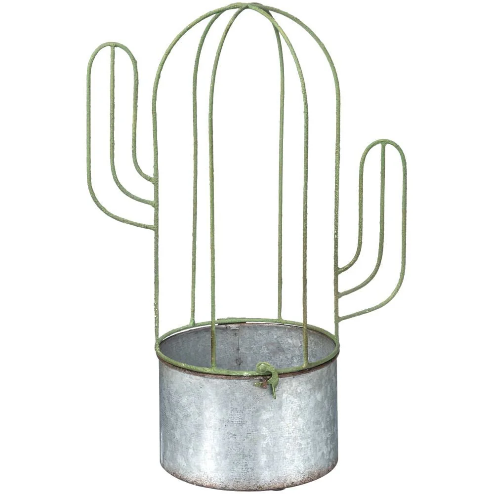 Cactus Planter - Pet's Shop