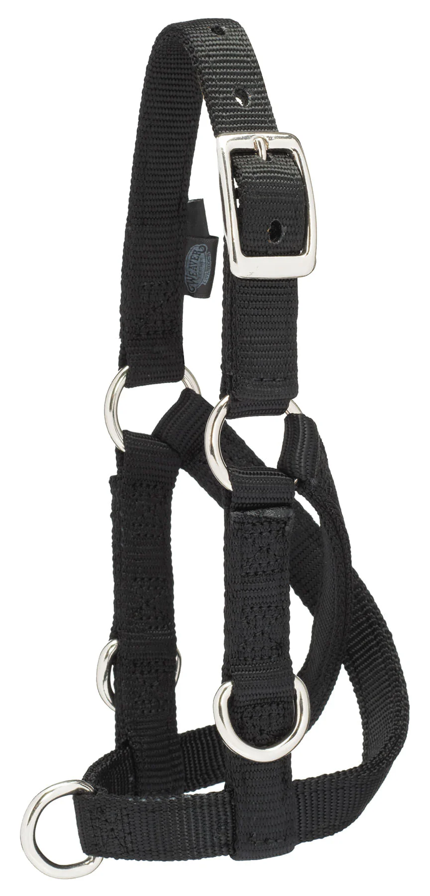 Sheep/Goat Treadmill Halter - Pet's Shop