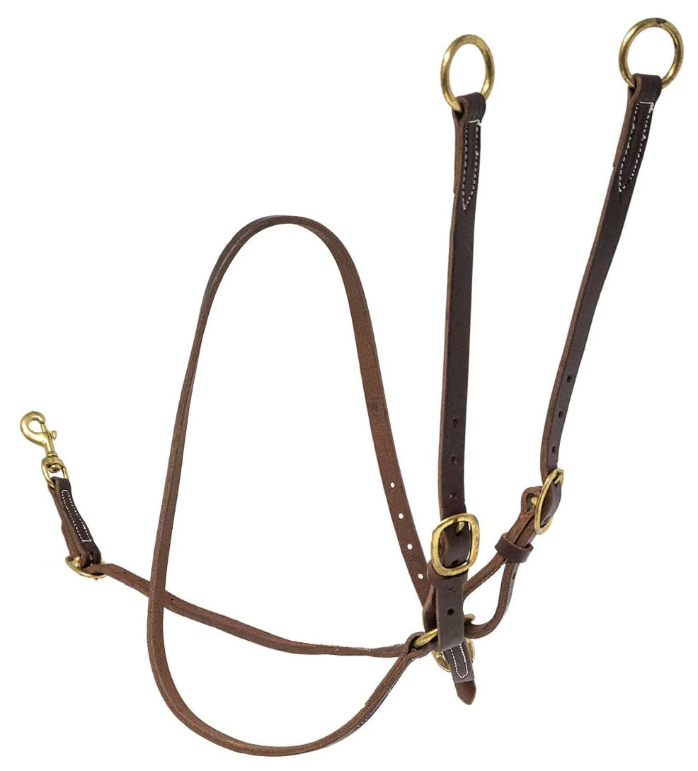 Poplar Head Premium Oiled Harness Leather Training Martingale - Pet's Shop