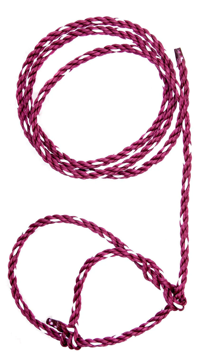 Troyer's Poly Calf Halter - Pet's Shop