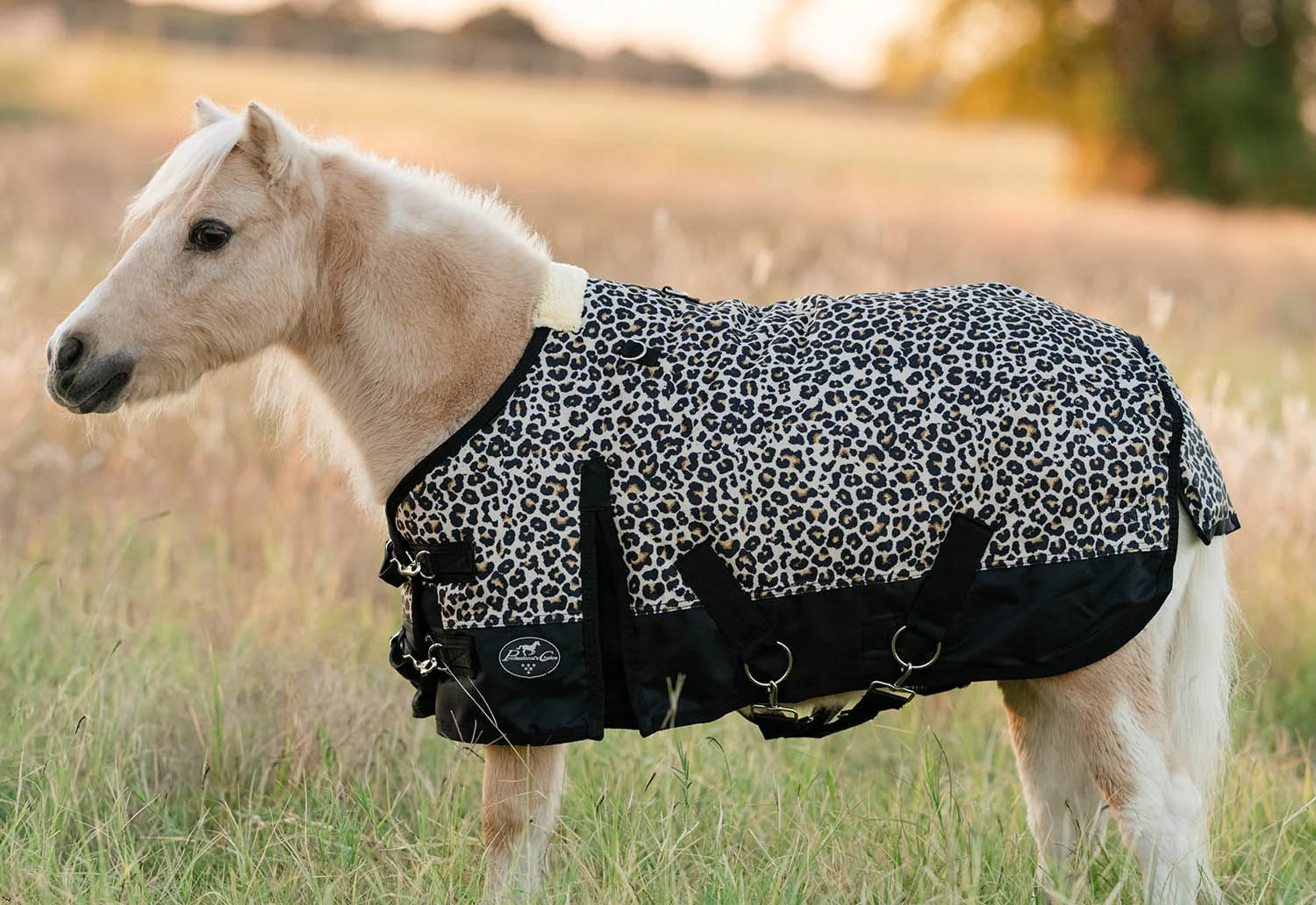 Equisential 600D Standard Neck Mini & Pony Medium Weight Blanket, Cheetah - Pet's Shop