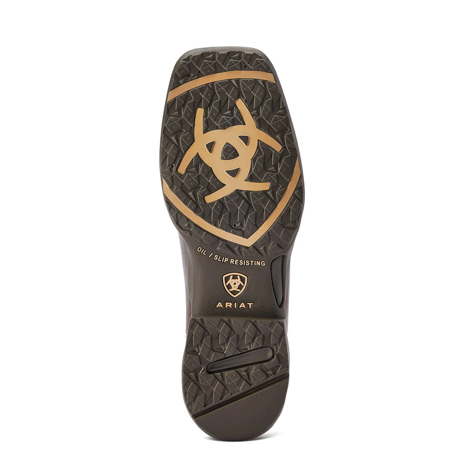 Ariat Women's Anthem Savanna Boot, Rich Clay - Pet's Shop