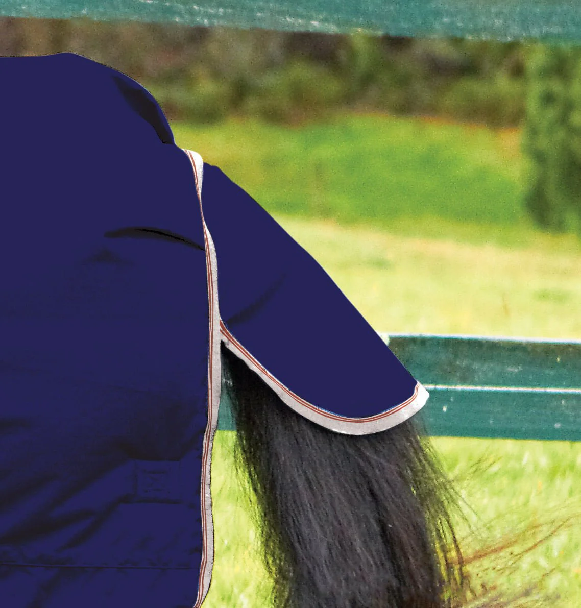 WeatherBeeta ComFiTec Essential Combo Neck Medium Weight Horse Blanket - Pet's Shop