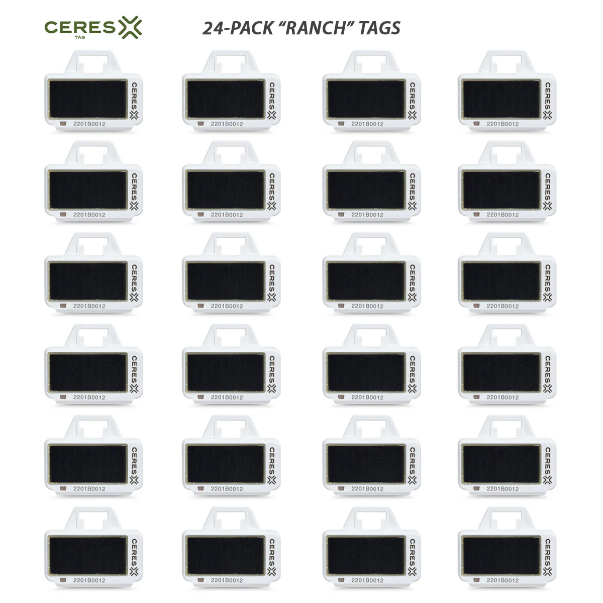 CERES RANCH PFI Identification Tags - Pet's Shop