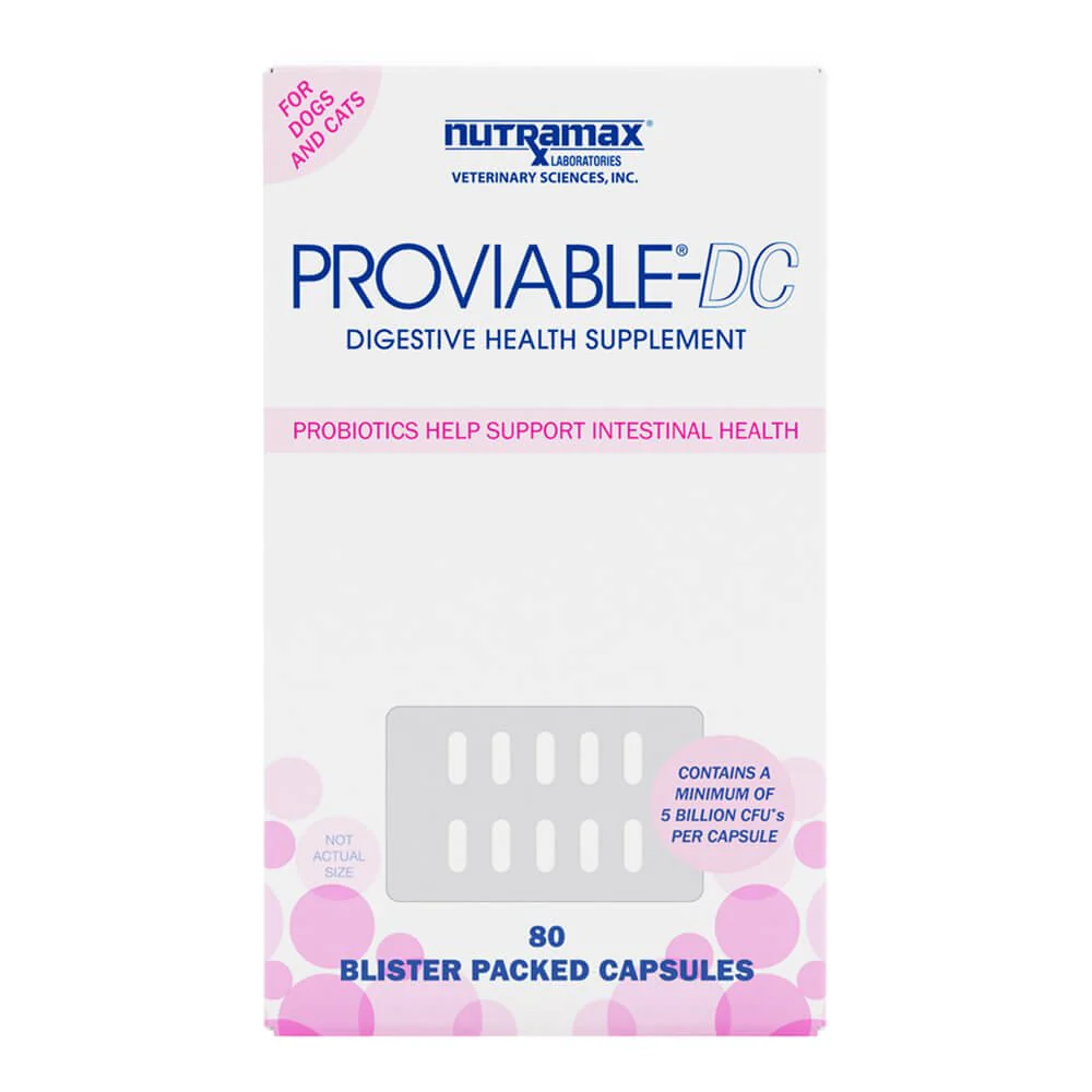Nutramax Proviable-DC for Dogs & Cats - Pet's Shop