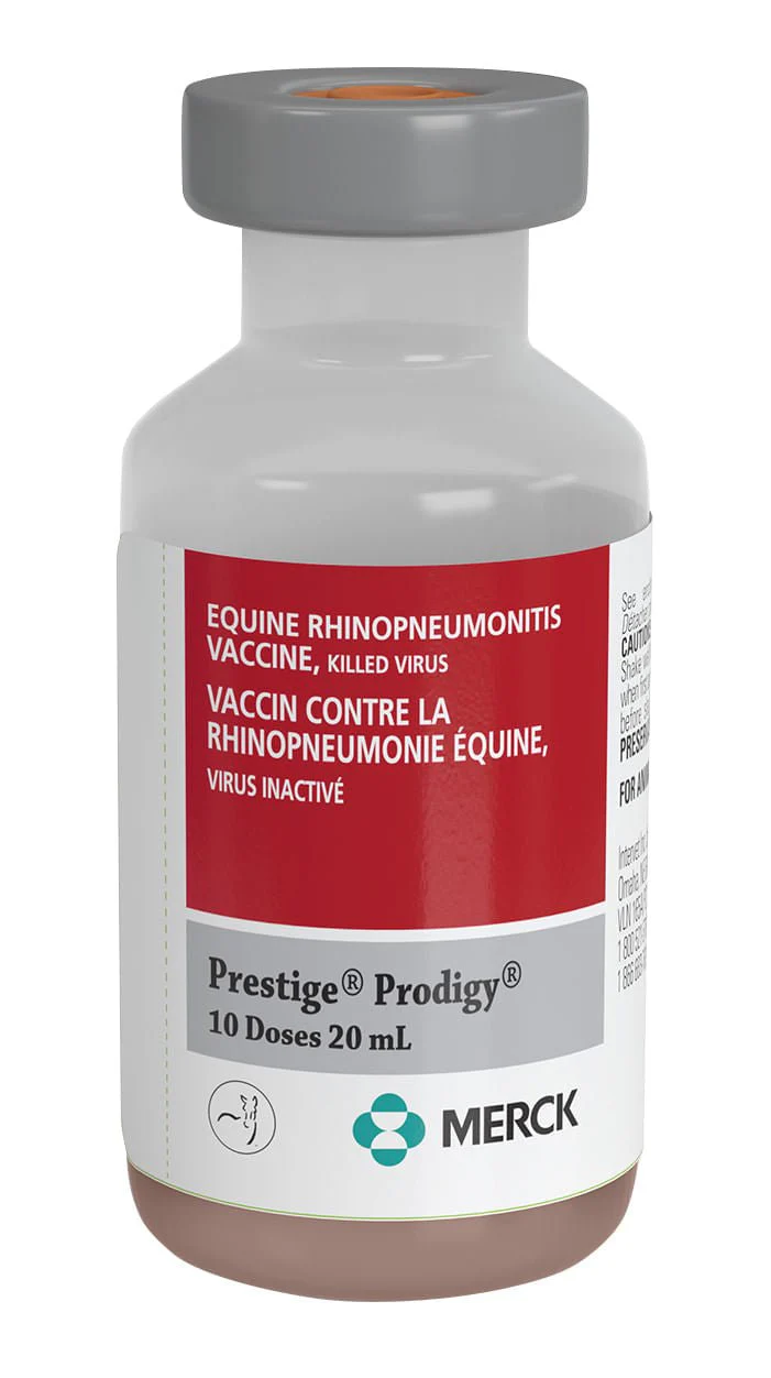 Prestige Prodigy - Pet's Shop