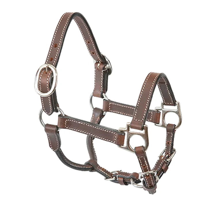 Miniature Horse Leather Halter - Pet's Shop