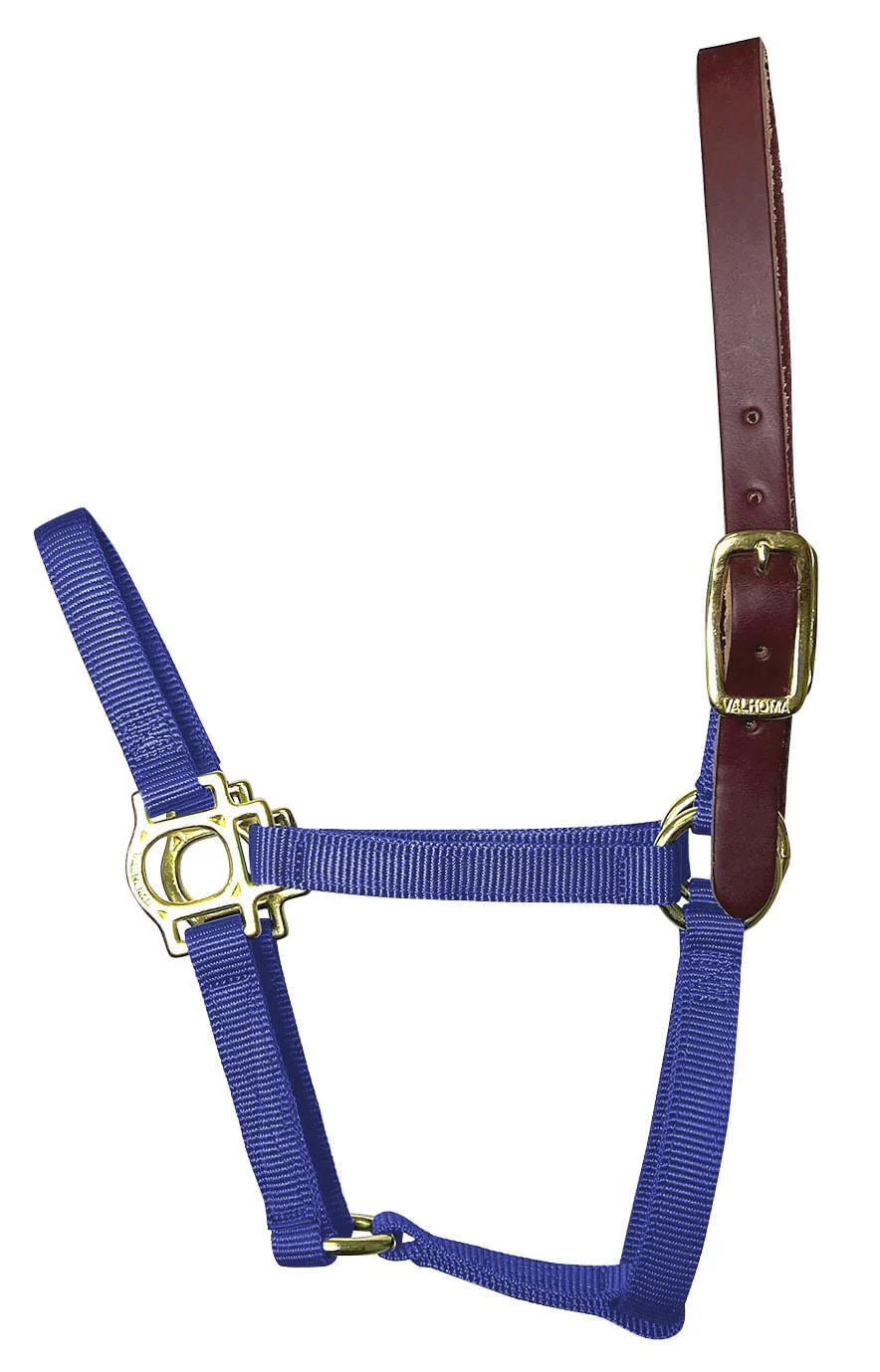 Valhoma Foal & Yearling Premium Breakaway Nylon Halter with Leather Crown - Pet's Shop