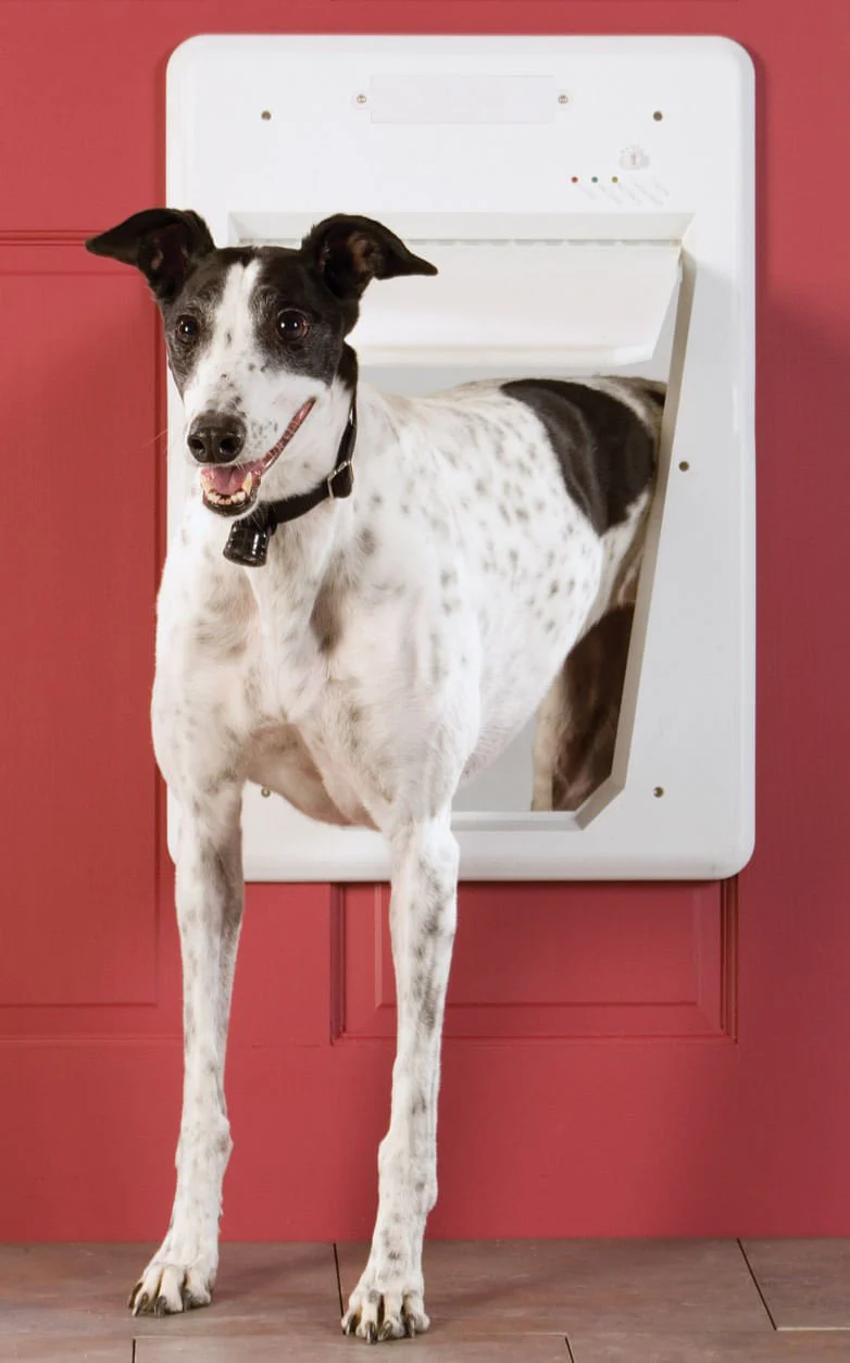 PetSafe Electronic Smart Door - Pet's Shop