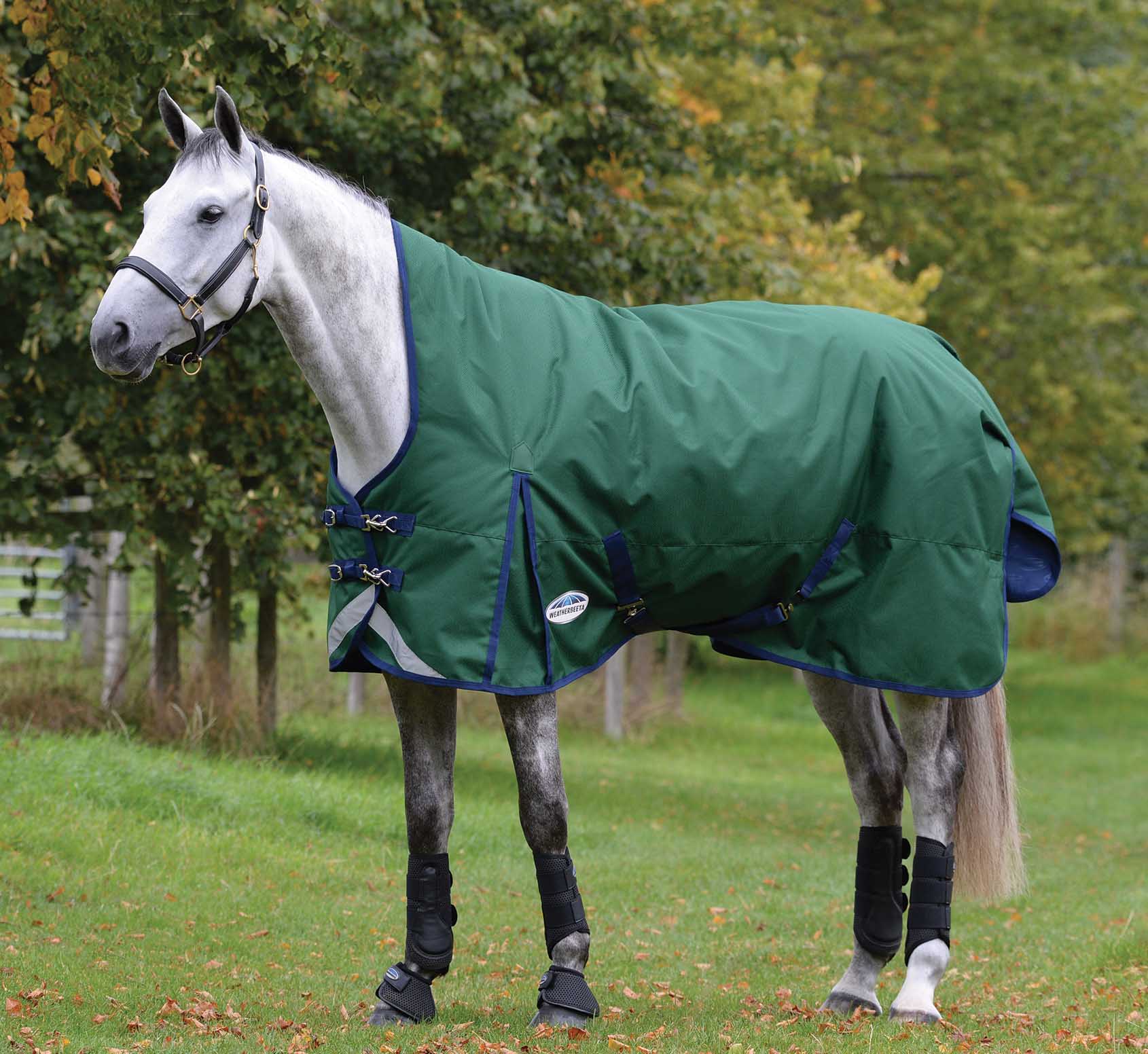 ComFITec Plus Dynamic II High Neck Medium Weight Horse Blanket - Pet's Shop
