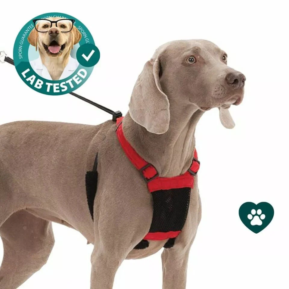 Sporn Non-Pulling Mesh Harness, Large/X-Large - Pet's Shop