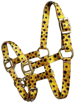 Showman Mini Halter in Patterns - Pet's Shop