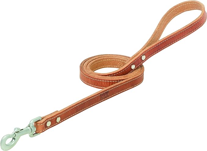 Terrain D.O.G. Harness Leather Dog Leash, Russet, 3/4