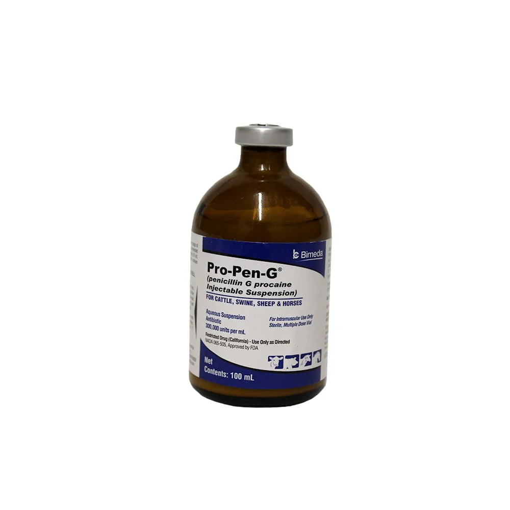 Rx Pro Pen G (penicillin G procaine) Injectable Solution for Cattle, Sheep, Swine, & Horses - Pet's Shop