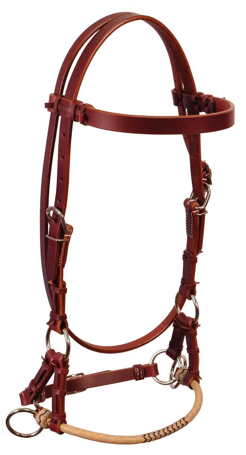 Buffalo Leather Fully Adjustable Rawhide Side Pull Headstall - Pet's Shop